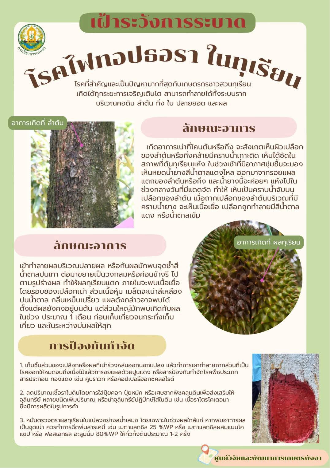 เฝ้าระวังโรคที่กำลังระบาดในช่วงนี้
