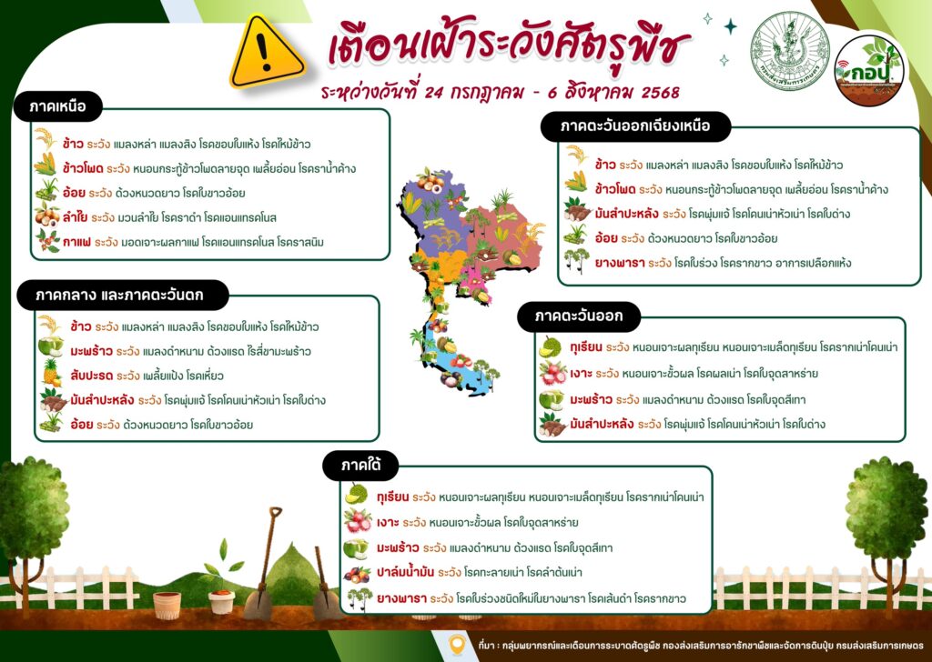 เตือนเฝ้าระวังศัตรูพืช